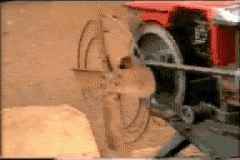 VIDEOS SWF GIF PREVENCION  CAMPO (2)